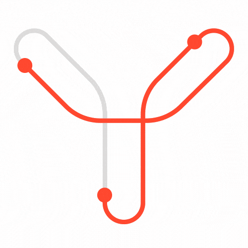 validator-ai validator-ai