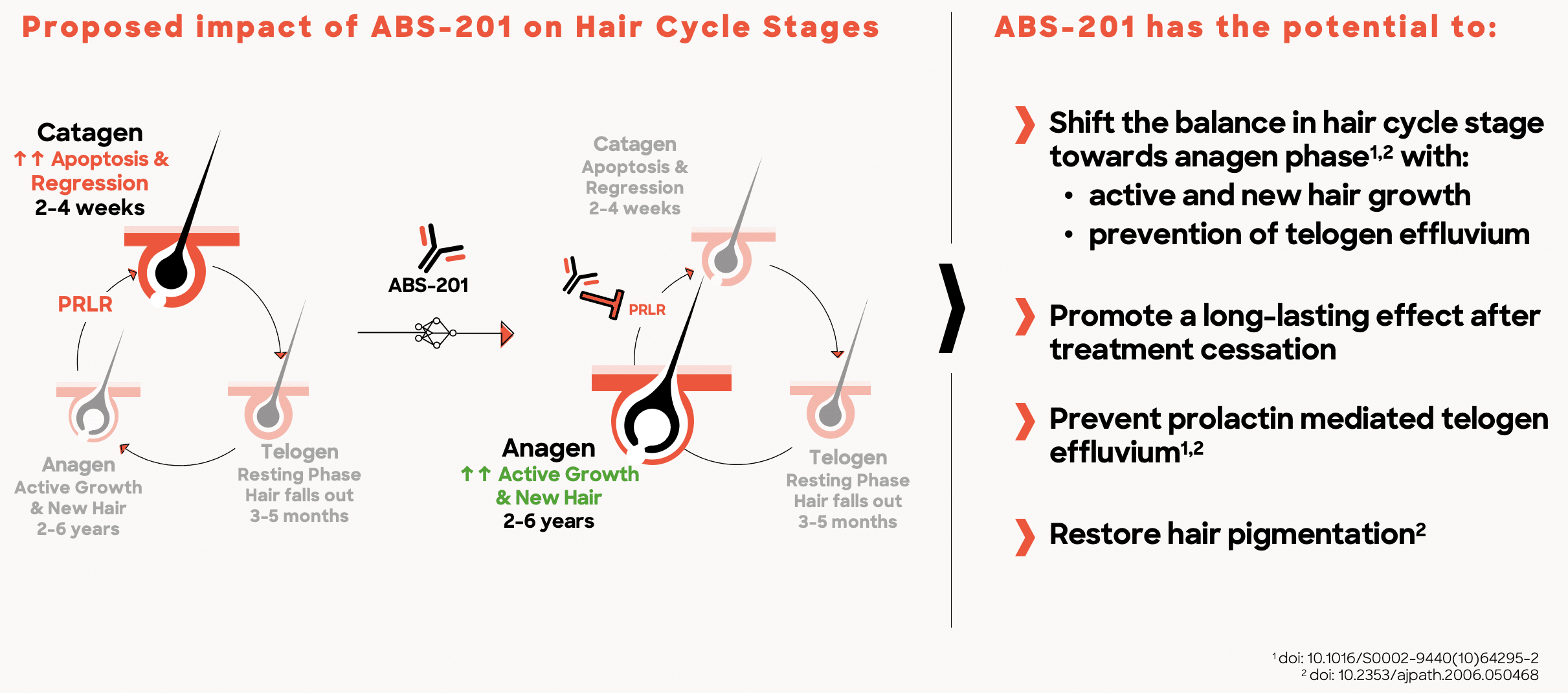 201 Hair Cycles